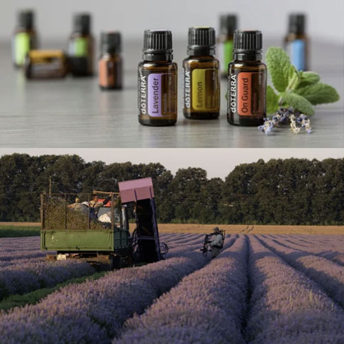 doterra